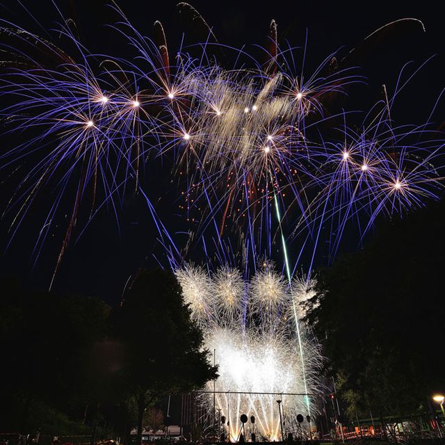 Pyrotechnik Bild